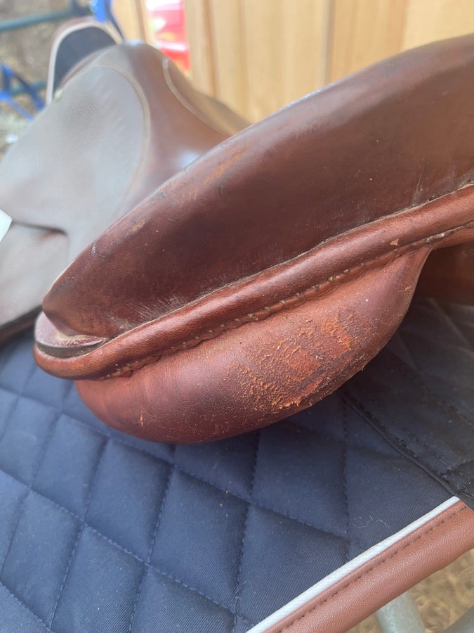 STUBBEN Stubben Sigfried AP 18” MW (5)