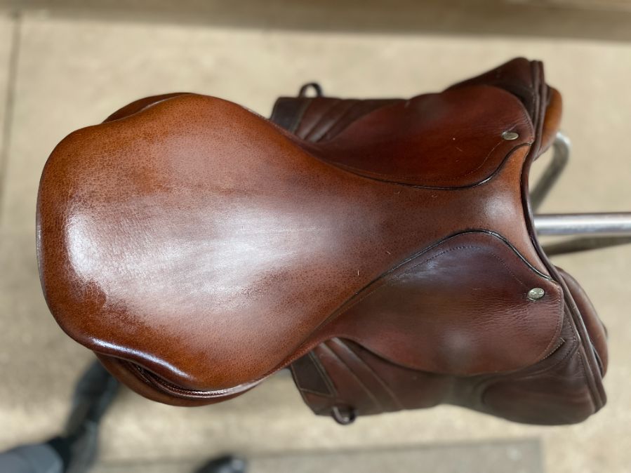 CWD Jump saddle for sale with cover