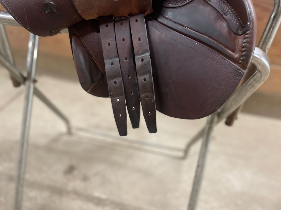 CWD Jump saddle for sale with cover