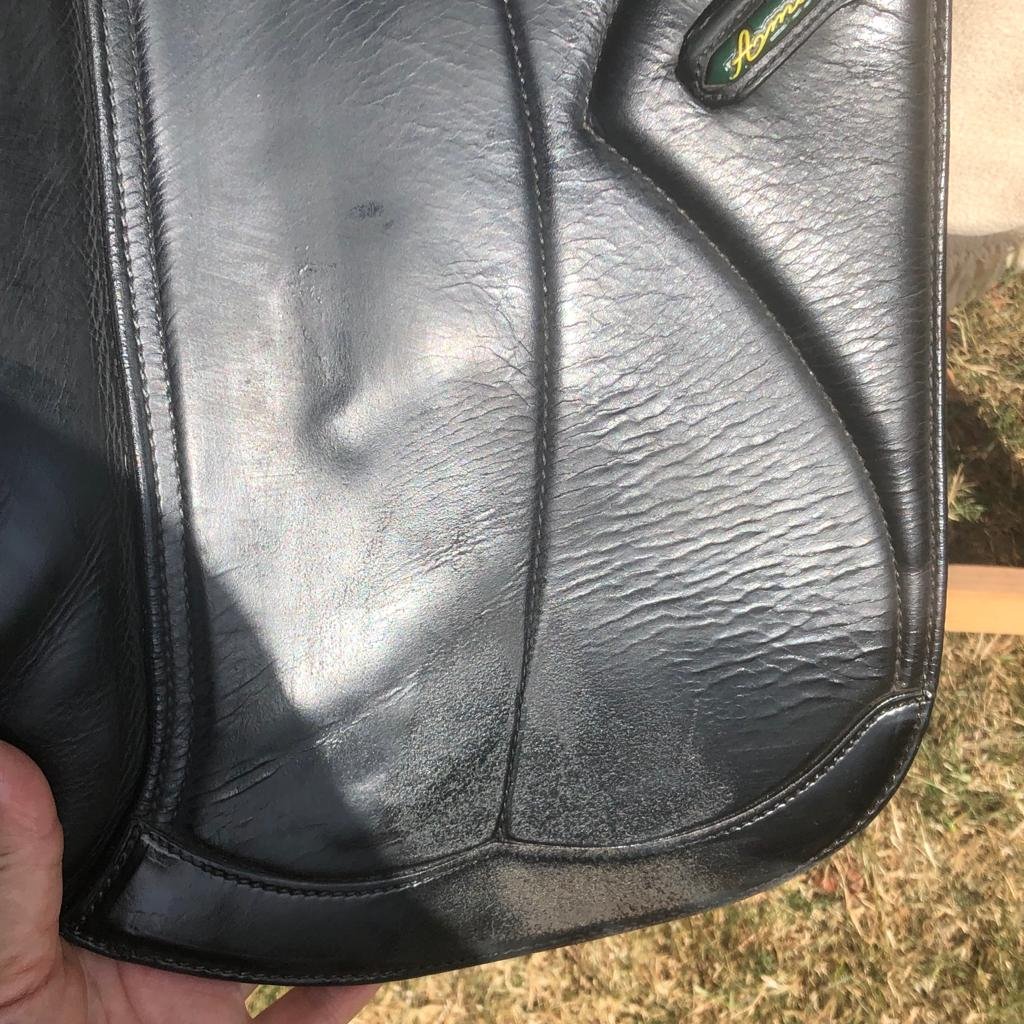 18" Amerigo Pinerolo (measures large)