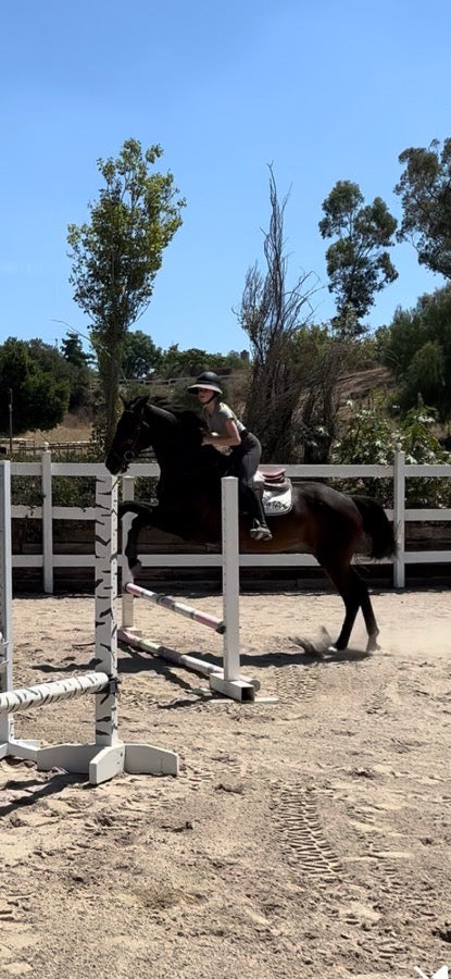 Dover Riding Sport Breeches