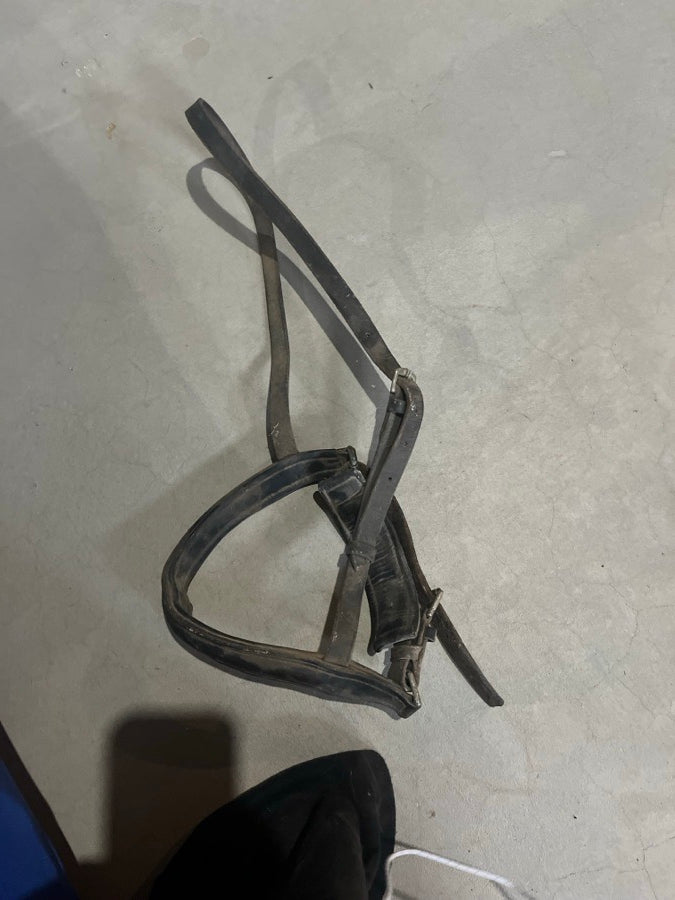 Noseband #3