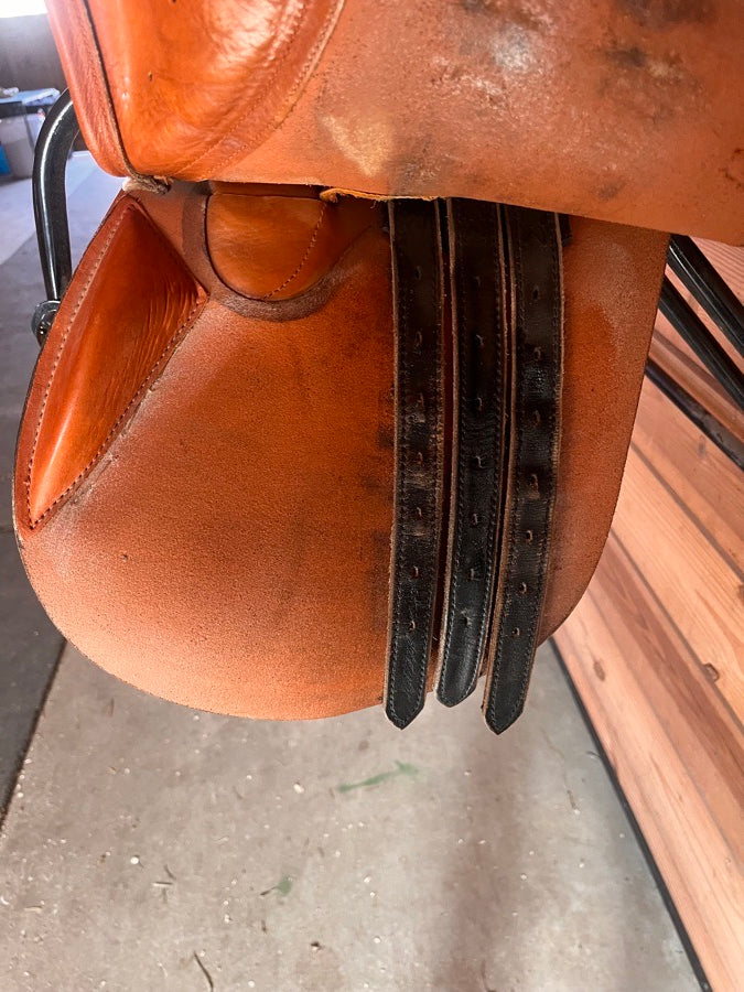 Other Ottimo saddle (7)