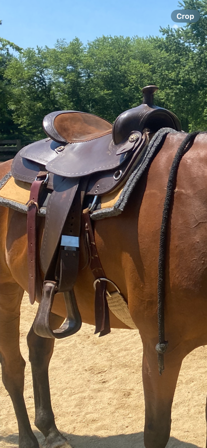 Other 17” Western Trail/Pleasure Saddle (3)