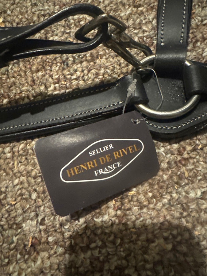 PRO 5 point elastic breastplate martingale
