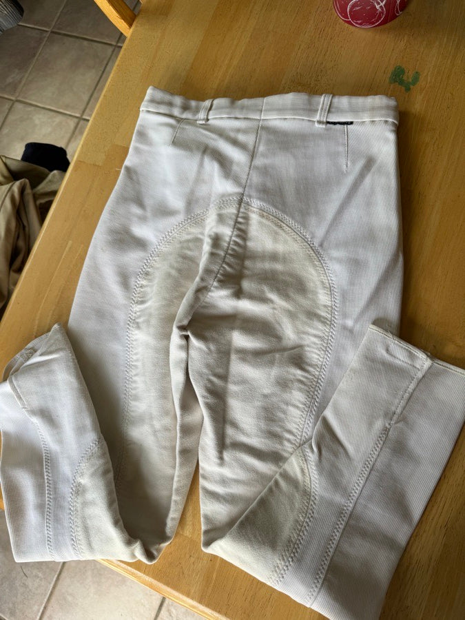 gorringe riding breeches