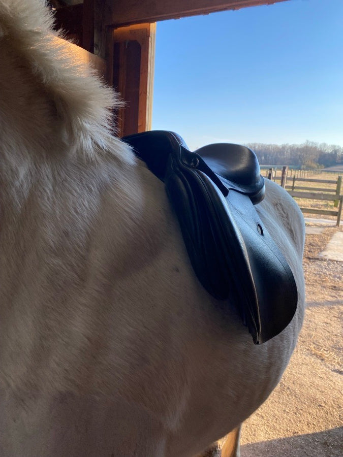 17 Inch Cavaletti Collection AP/Jump