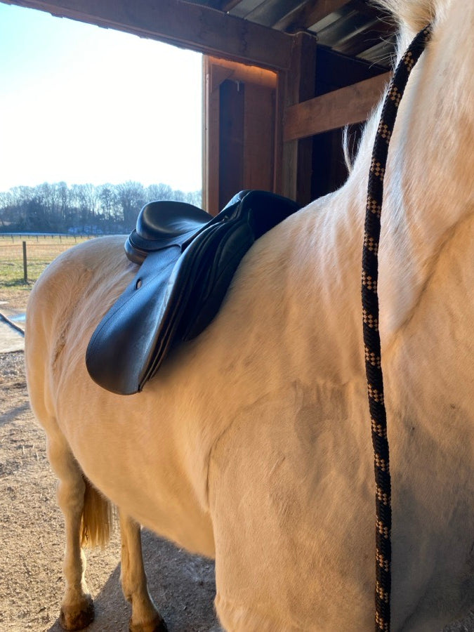 Other 17 Inch Cavaletti Collection AP/Jump (2)