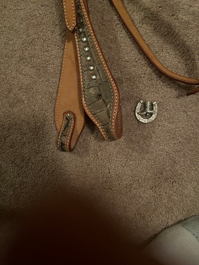 Other Bridle and Breastplate set (4)