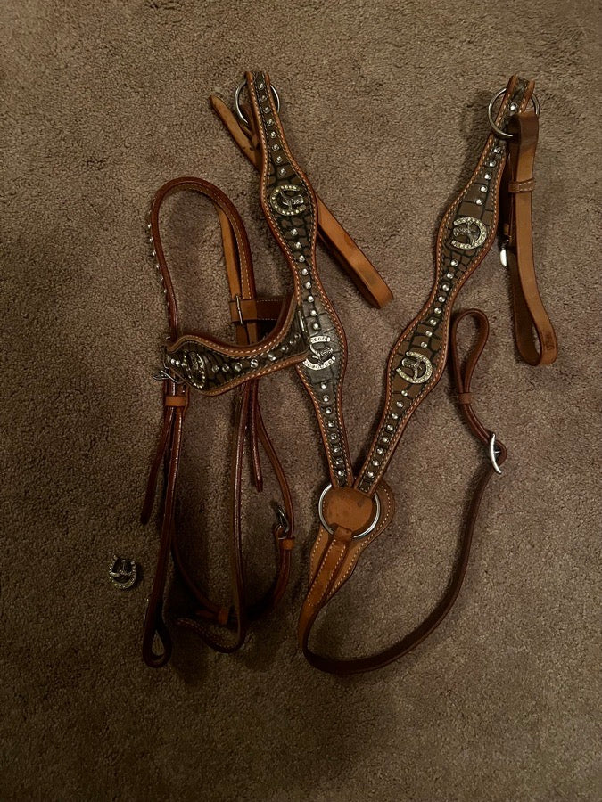 Other Bridle and Breastplate set