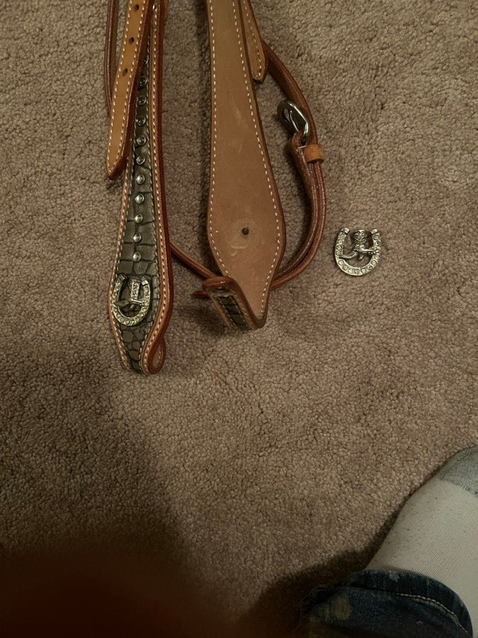 Other Bridle and Breastplate set (3)