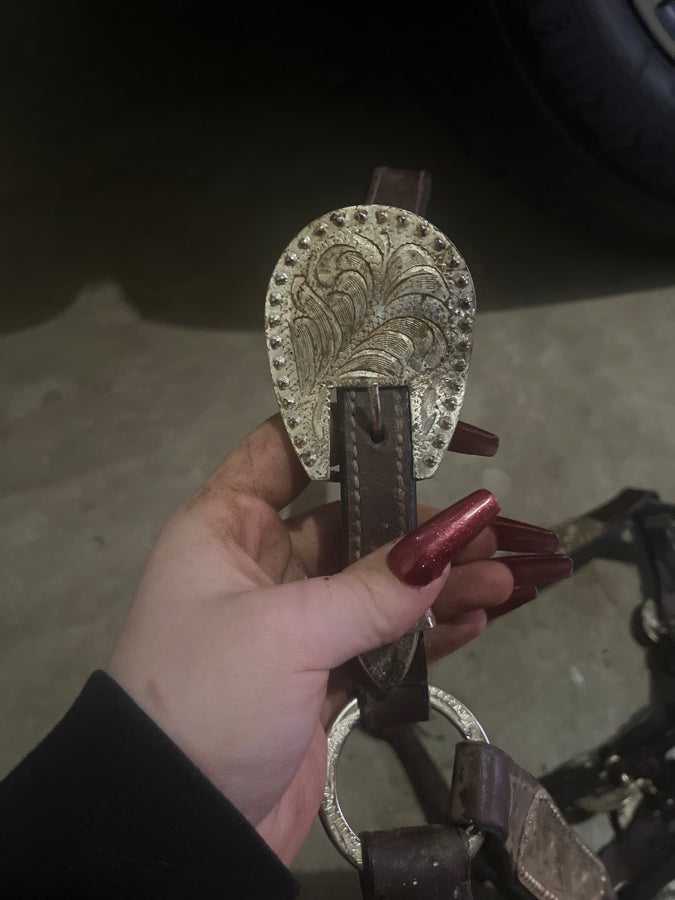 Western show halter