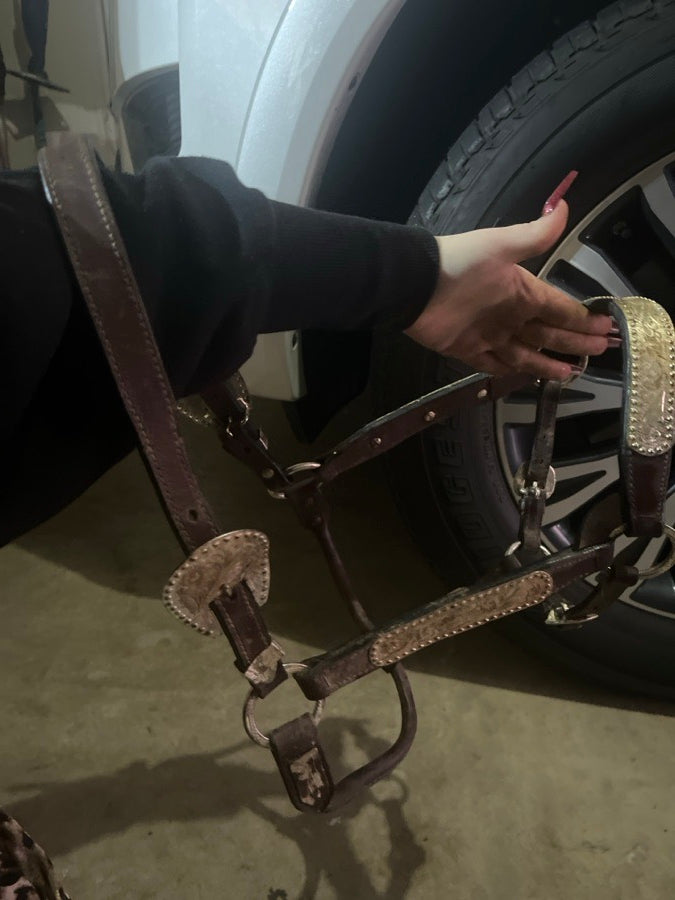 Western show halter