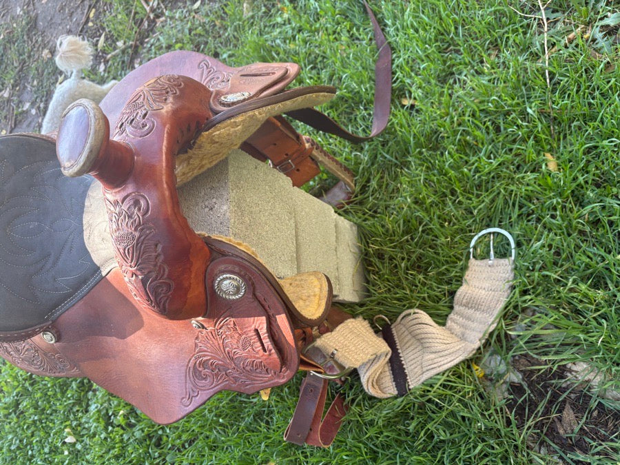 Other Western saddle (3)