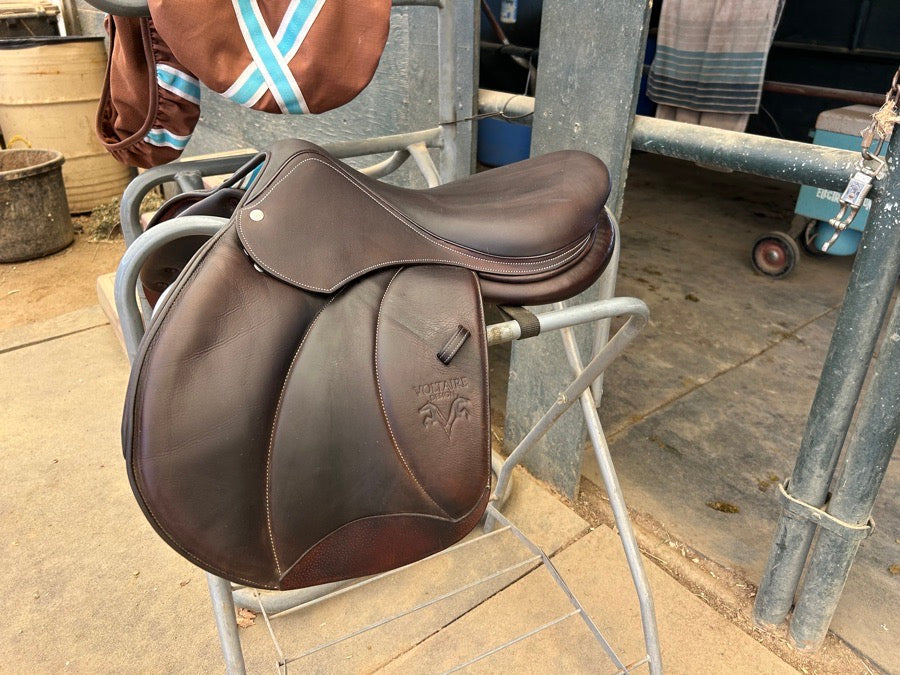 VOLTAIRE 2022 Voltaire palm beach 17.5  3A FIN panel