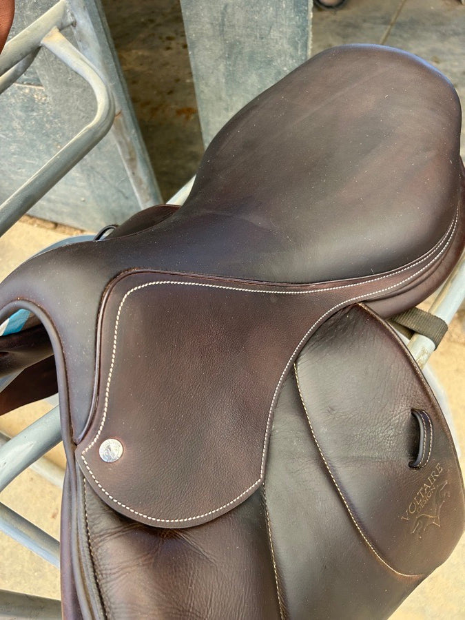 VOLTAIRE 2022 Voltaire palm beach 17.5  3A FIN panel (4)