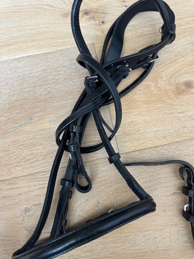 Other Black Bridle (2)
