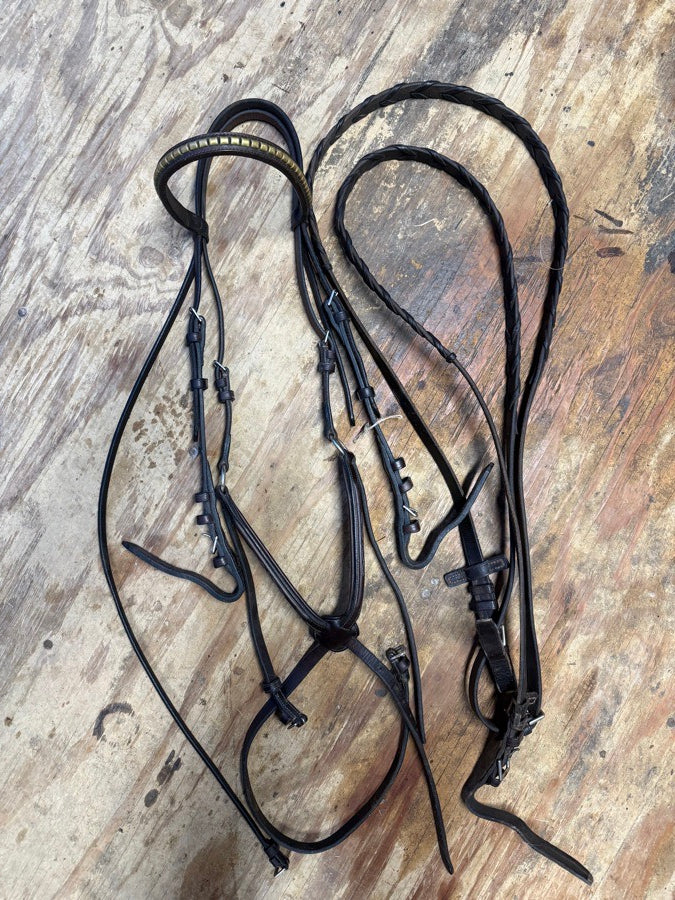 Other Oversized bridle and reins