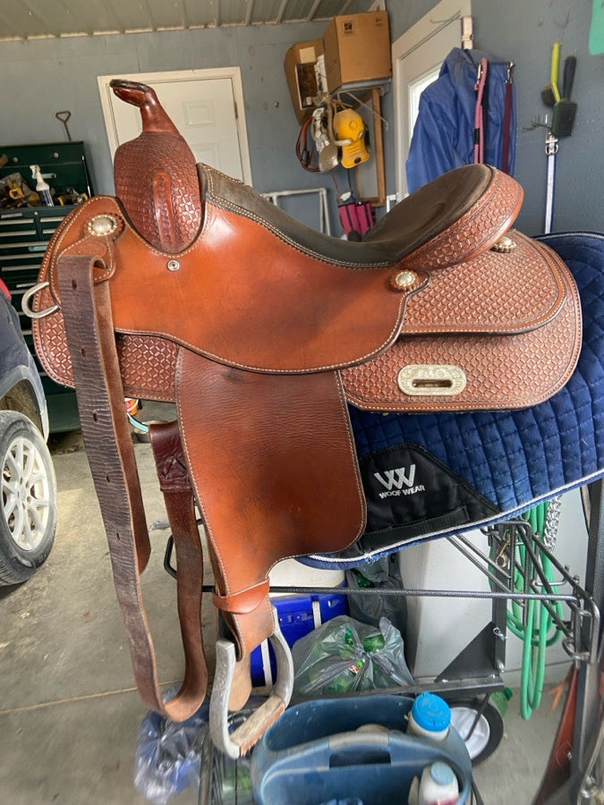 Silver Supreme reining
