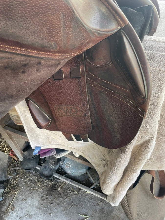 CWD CWD 2023 (5)