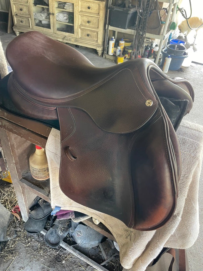 CWD CWD 2023 (4)
