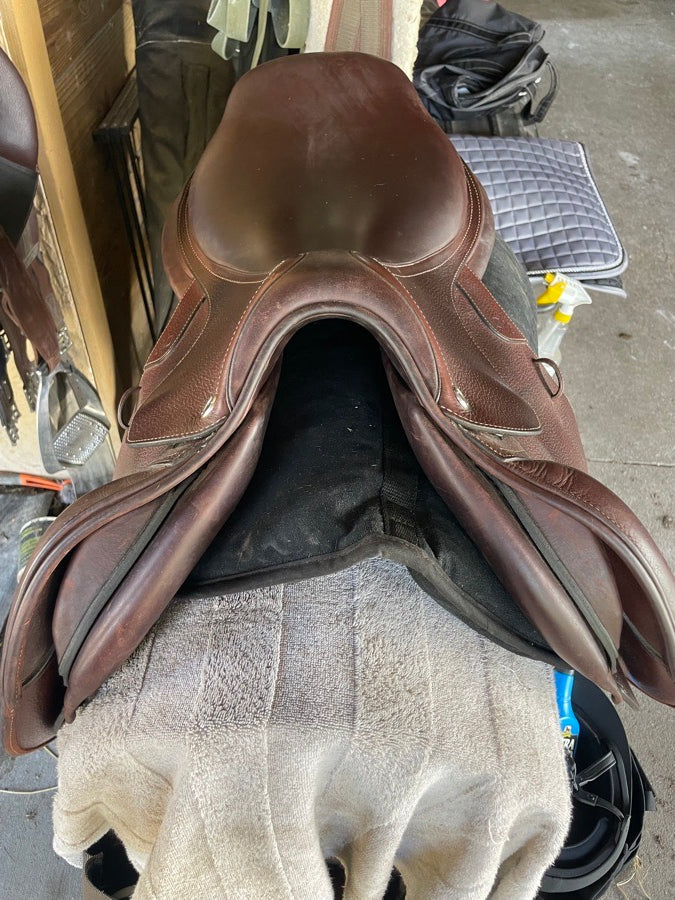 CWD CWD 2023 (3)