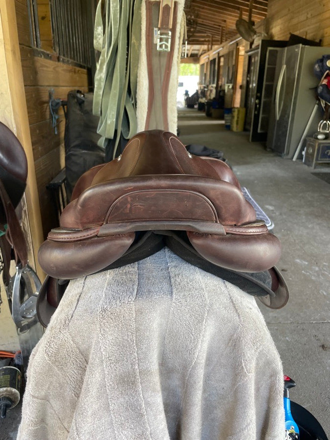 CWD CWD 2023 (6)