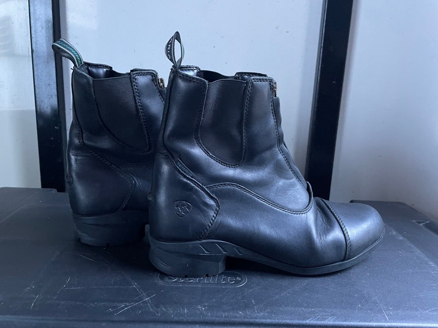 ARIAT Ariat H20 Paddock Boots