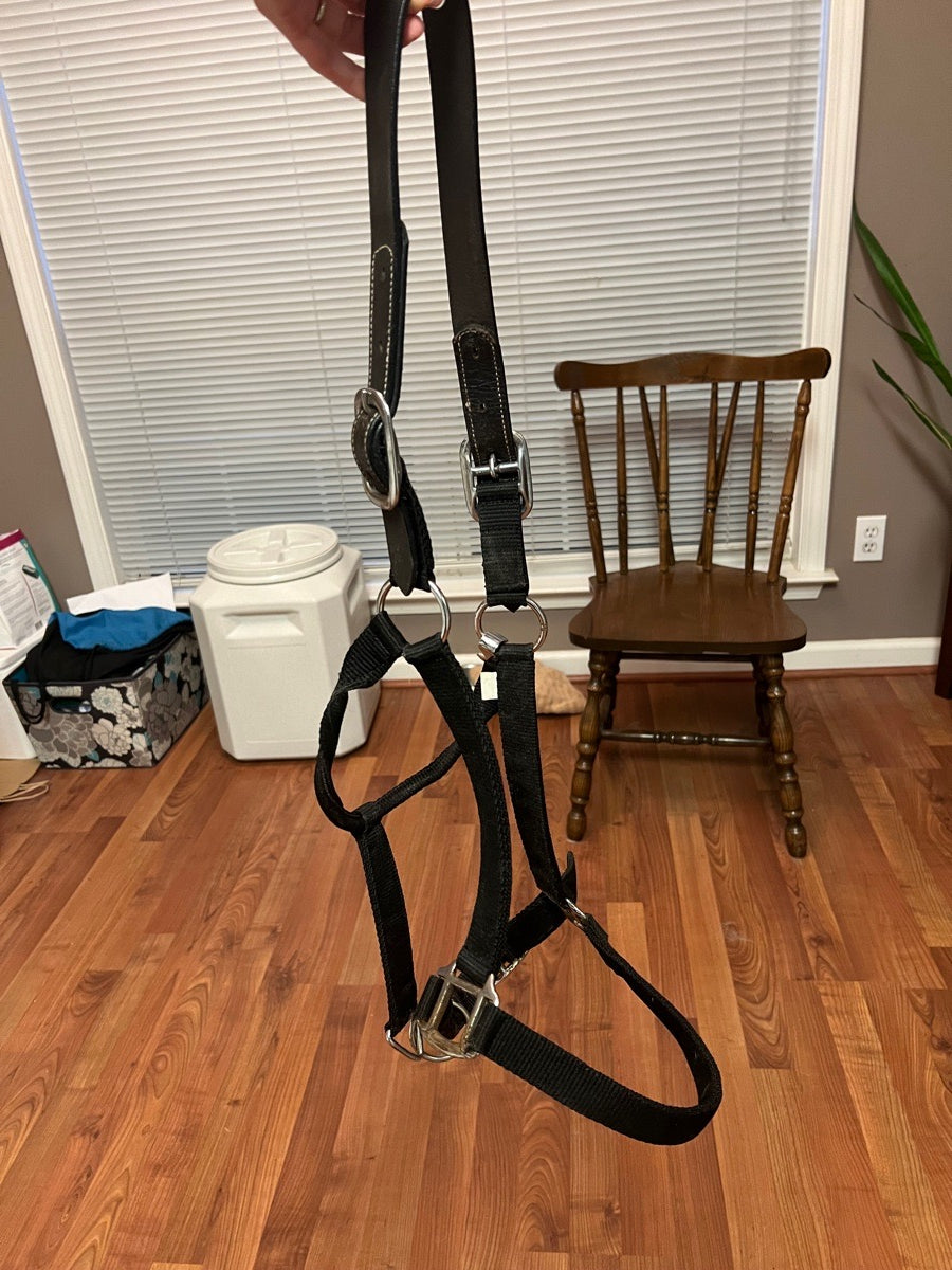 Oversized Breakaway Halter