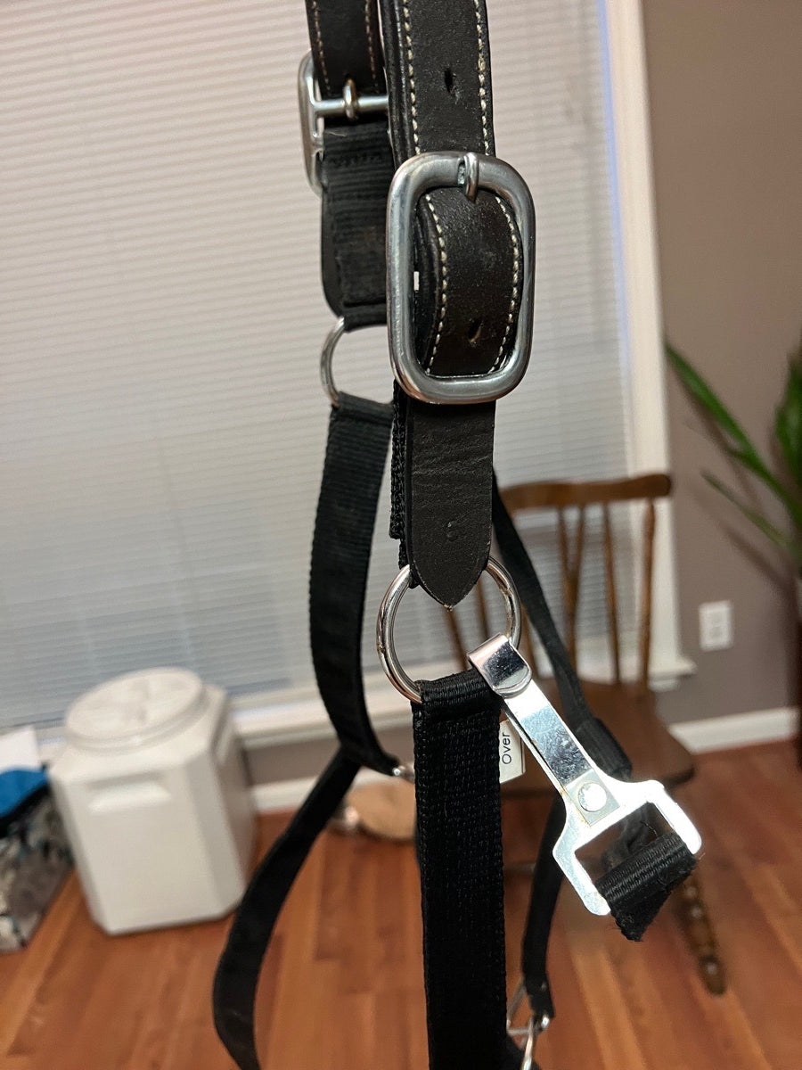 Oversized Breakaway Halter