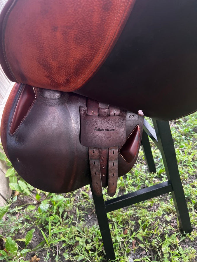 17.5” Antares Close Contact Saddle