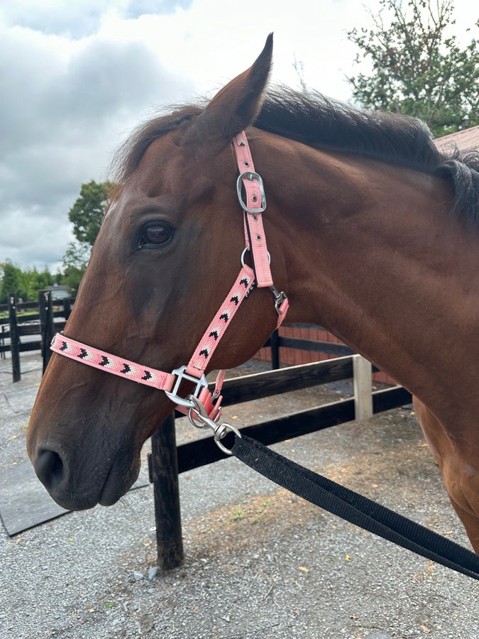Pink halter with pretty beads