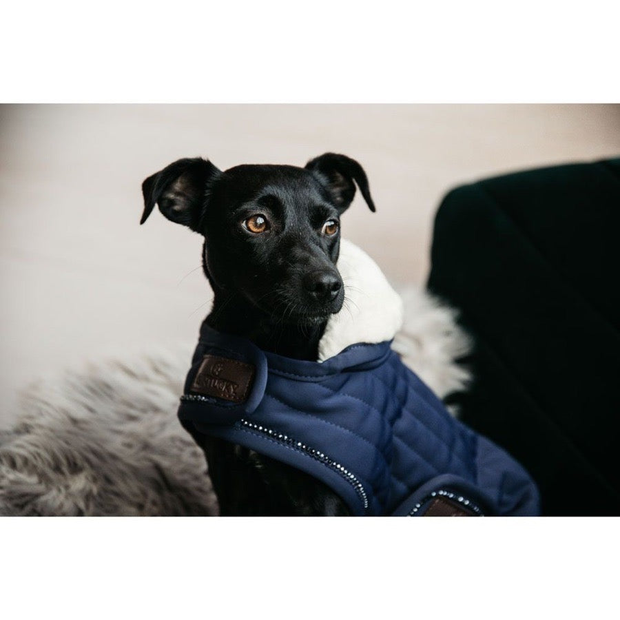 NWT Kentucky Blue Dog Coat with Sheepskin, XS