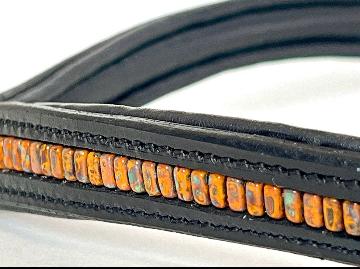 Other Sunflower Yellow Browband (2)