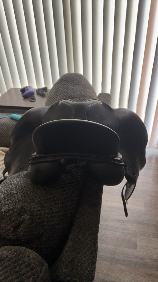 DK DK Dressage 17 (7)