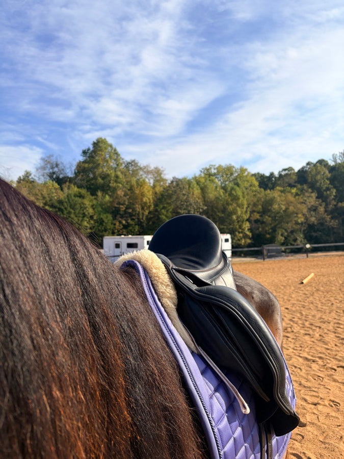 DK DK Dressage 17 (3)