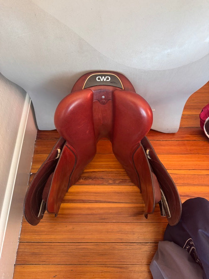 CWD 16.5” CWD SE31 Mademoiselle 2Gs Saddle - 2022 - 2L - MINT! (8)