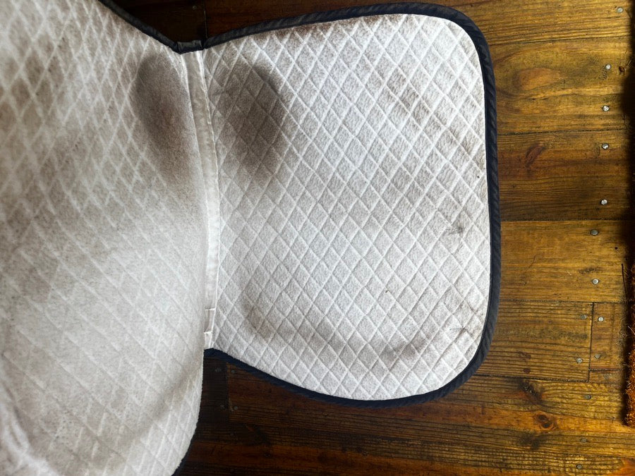 TUFFRIDER TuffRider All Purpose Saddle Pad With Piping (3)