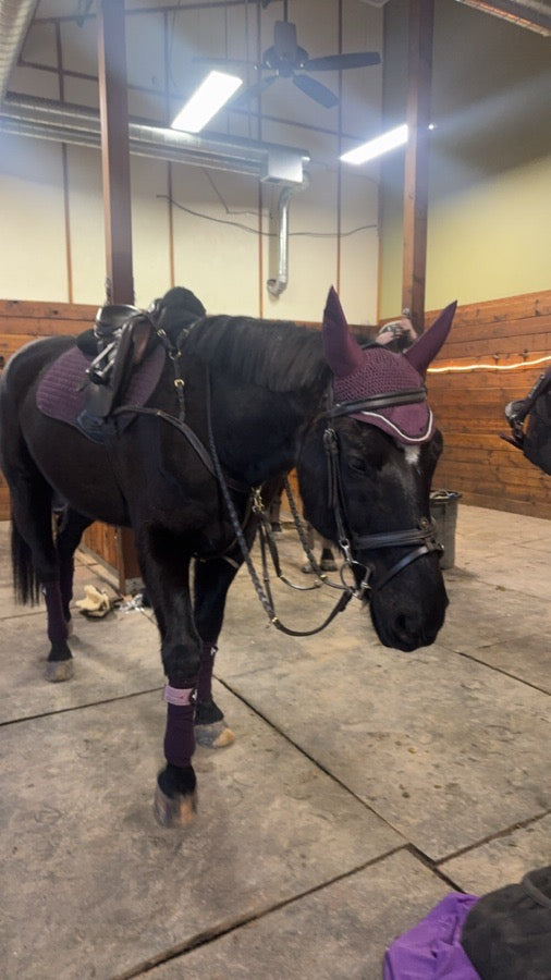 Riviera Equisport Bridle