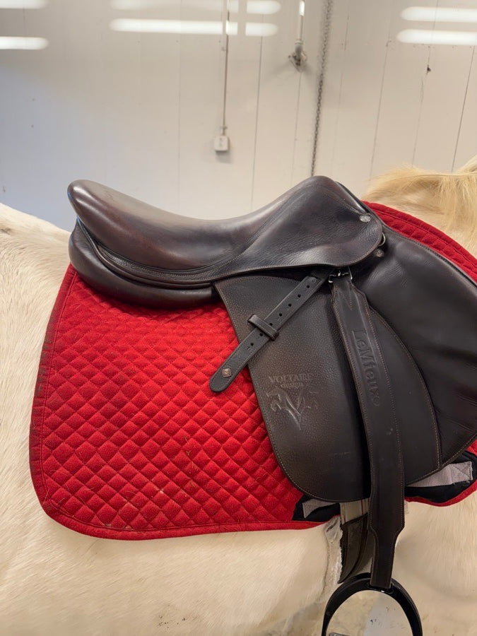 VOLTAIRE Voltaire Palm Beach (2)