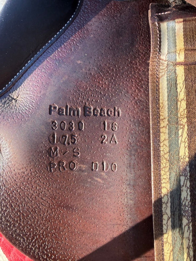 VOLTAIRE Voltaire Palm Beach