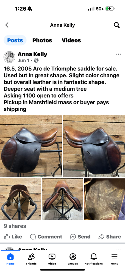 ADT - ARC DE TRIOMPHE 16.5, 2005 Arc de Triomphe saddle for sale