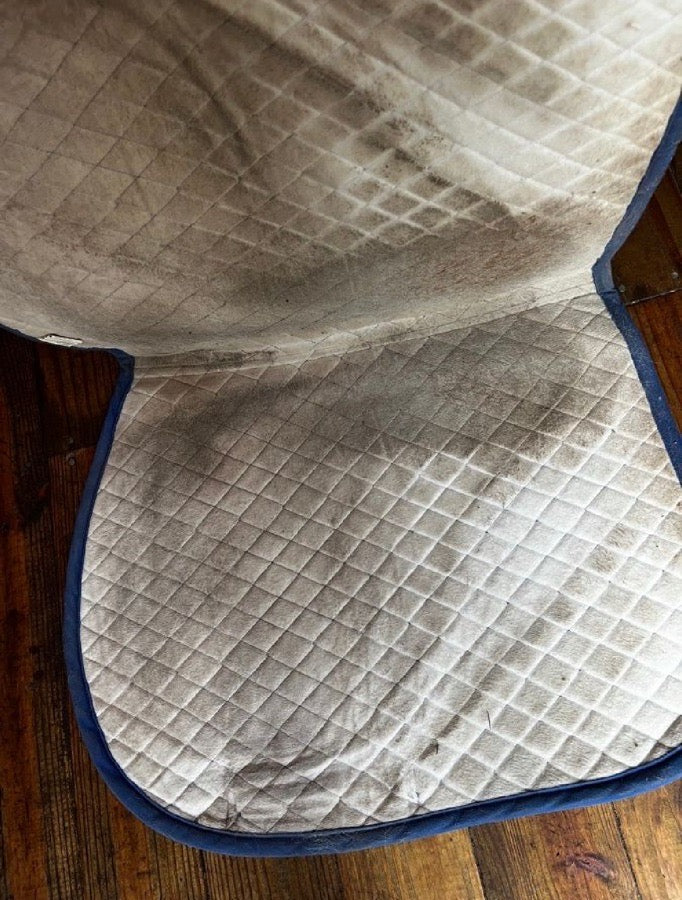 TUFFRIDER Royal Blue TuffRider All Purpose Saddle Pad (3)