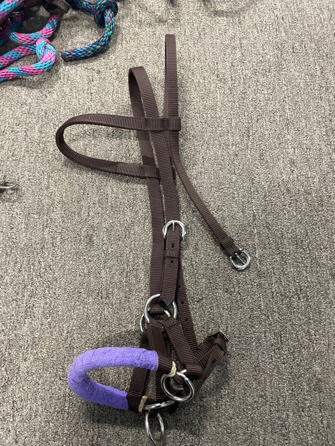 Other Nylon bitless bridle (2)