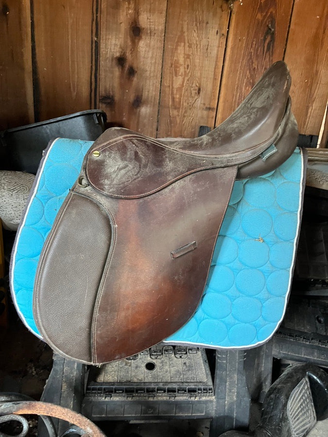 Sky blue all purpose saddle pad