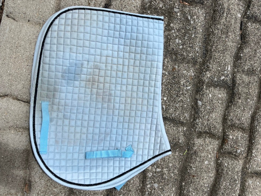 PACIFIC RIM INTERNATIONAL PRI light blue saddle pad with black rope trim