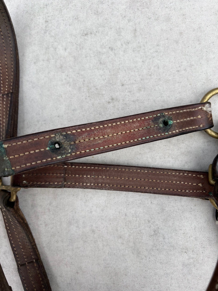 Beval Triple Stitch Horse Halter