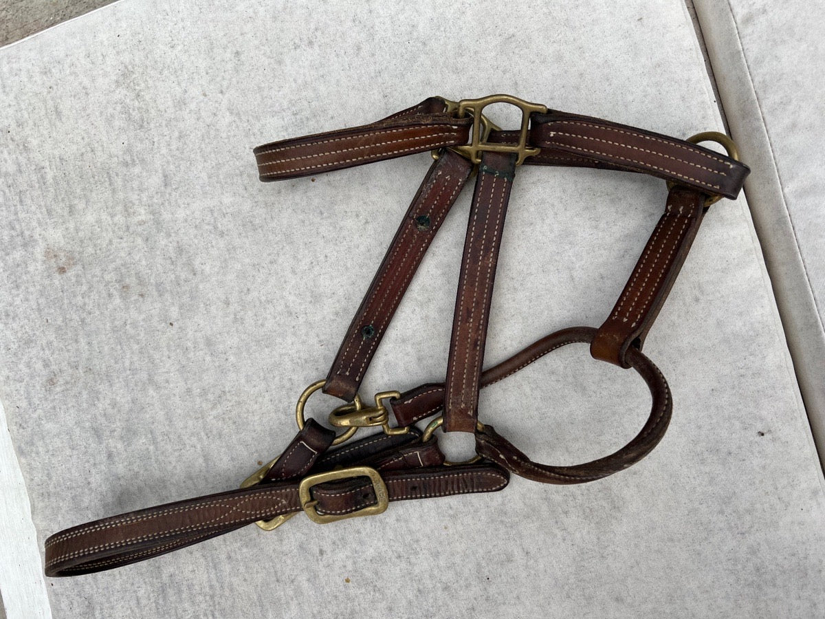 Beval Triple Stitch Horse Halter