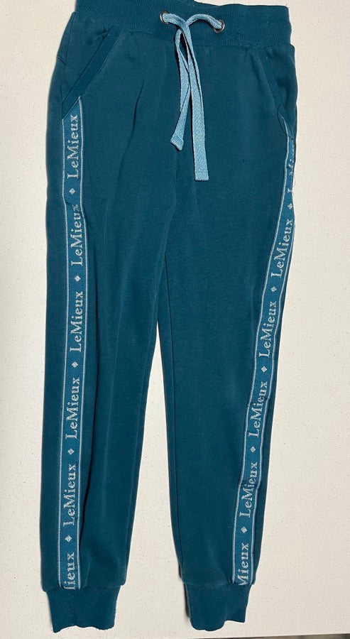 Young Rider Hoodie and Joggers