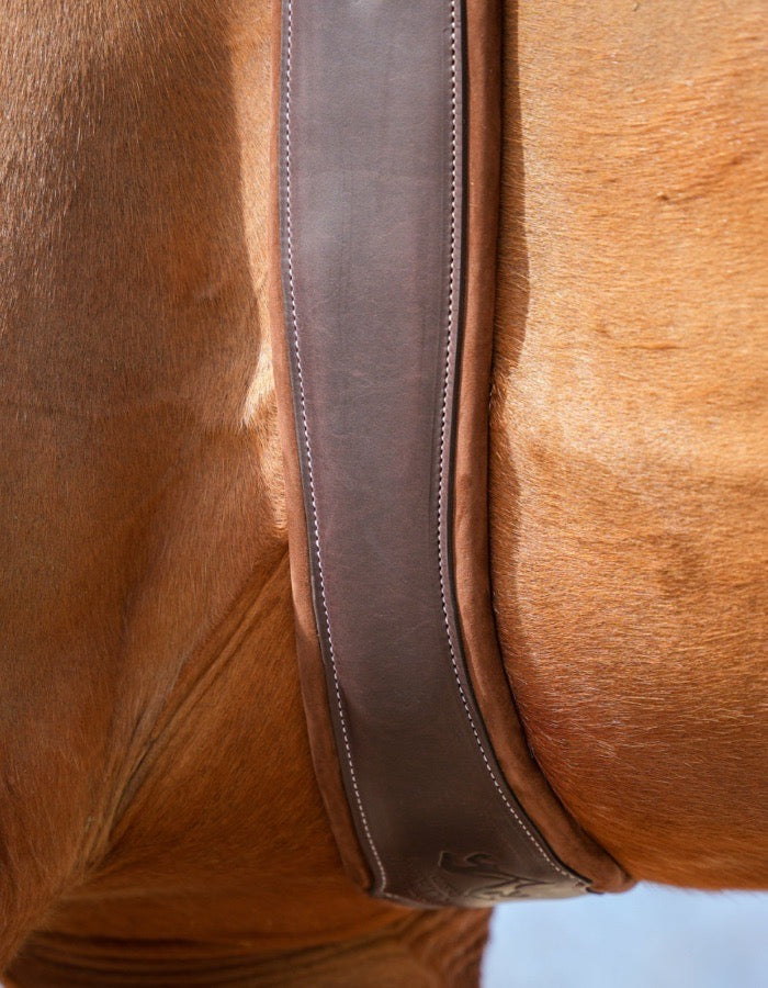 VOLTAIRE NEW Voltaire Hunter 52 Girth (2)